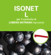 Isonet L